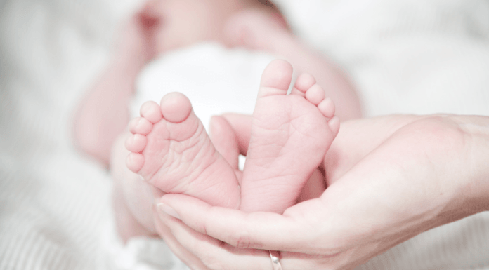 Como o Feng Shui pode ajudar na Fertilidade?
