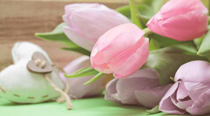 Como o Feng Shui pode te ajudar a atrair o amor e melhorar o romance – Parte 2