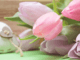 Como o Feng Shui pode te ajudar a atrair o amor e melhorar o romance – Parte 2