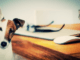 Feng Shui e seu animalzinho de estimação
