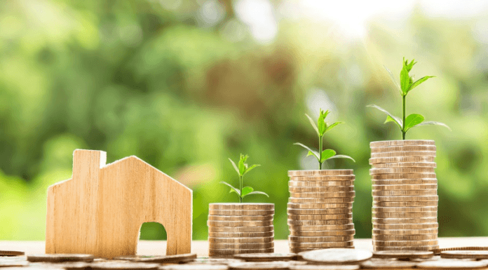 9 dicas para atrair prosperidade para seus ambientes