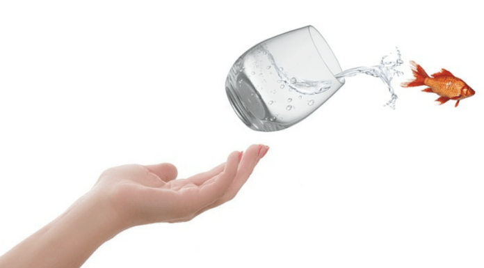 Sucesso na vida profissional com o Feng Shui