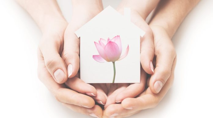 Aproveite a quarentena e dê um UP em sua vida com o Feng Shui