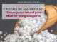 Sal Grosso: Tem um poder natural para absorver energia negativa